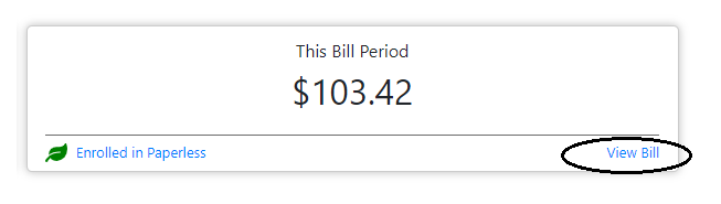 View Bill.png